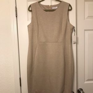 Calvin Klein Professional Dress